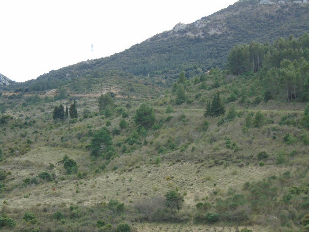 Gite La Tramontane Villa Cucugnan Exterior foto